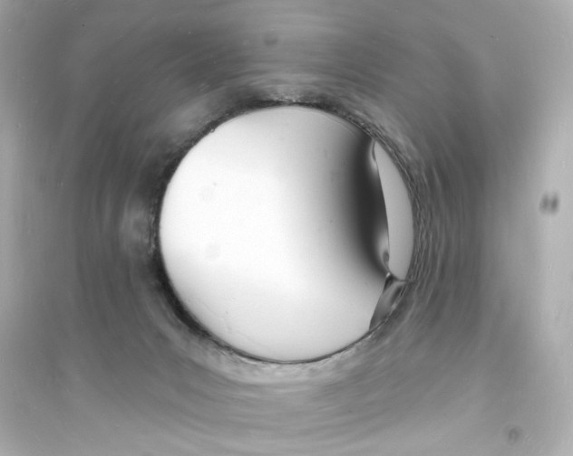 X0000093600031200711121159