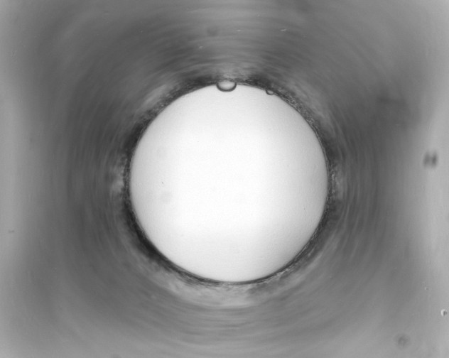 X0000093600032200711121159