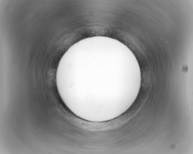 X0000093600034200711121159