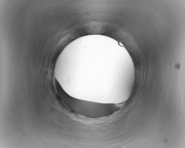 X0000093600035200711121159