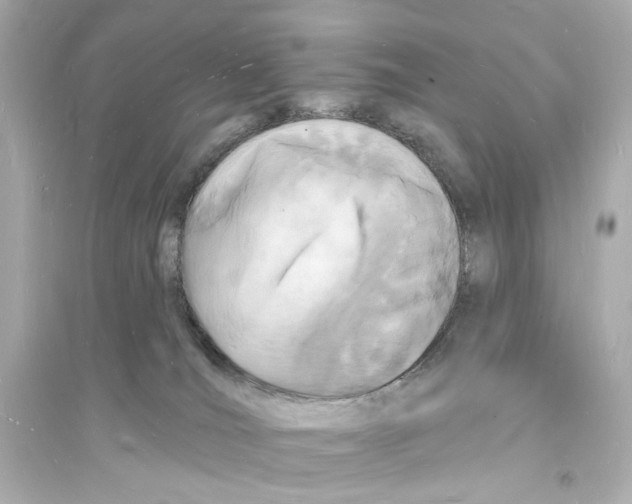 X0000093600036200711121159