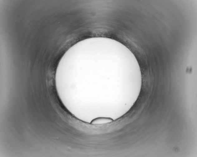 X0000093600038200711121159