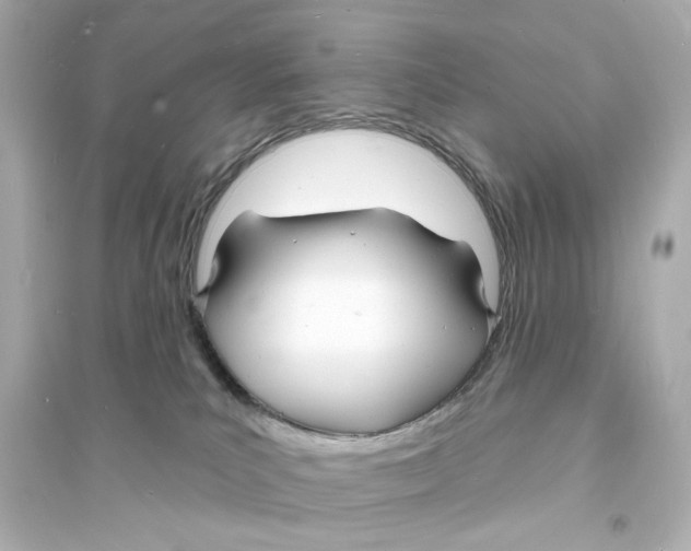 X0000093600039200711121159