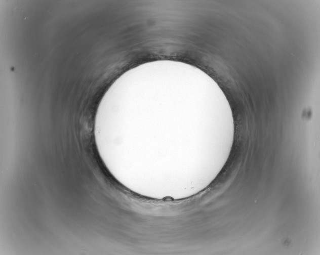 X0000093600040200711121159