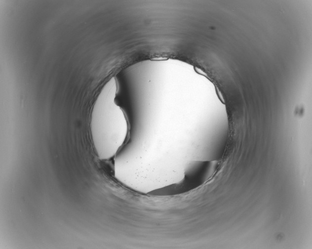 X0000093600041200711121159