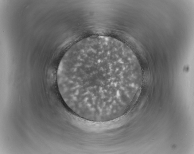 X0000093600043200711121159