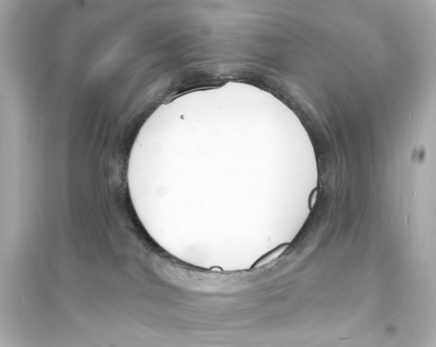 X0000093600044200711121159