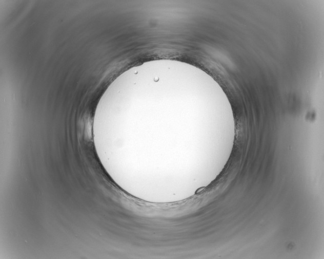 X0000093600046200711121159