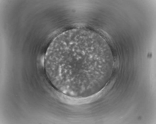 X0000093600047200711121159