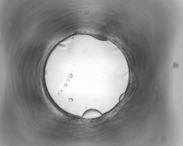 X0000093600049200711121158