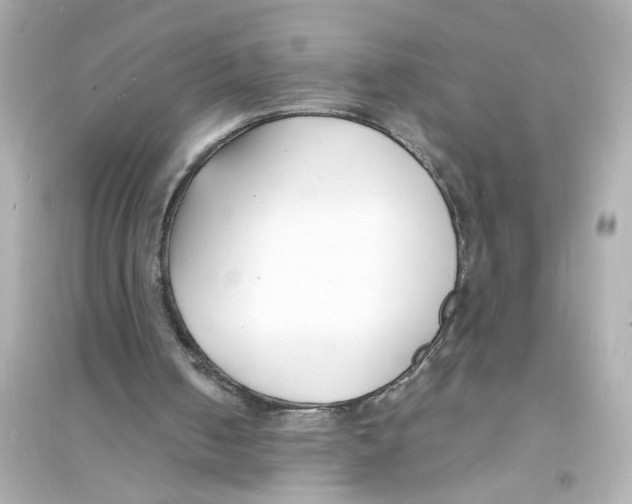 X0000093600050200711121158