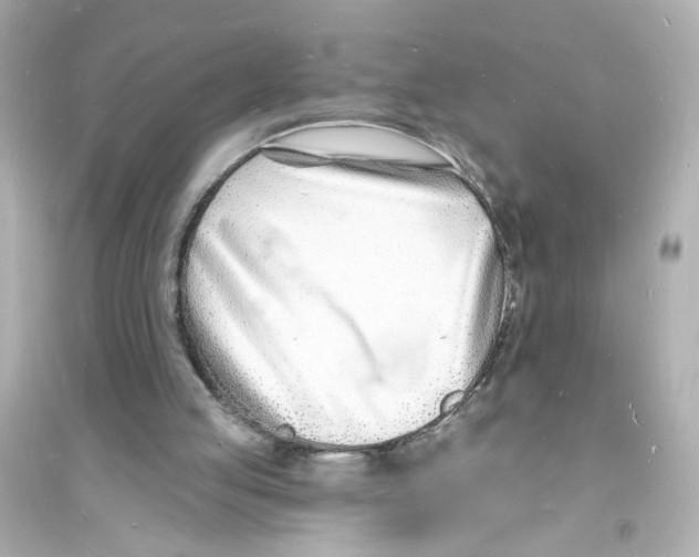 X0000093600053200711121158