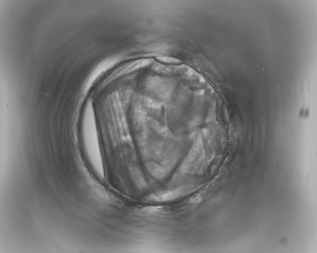 X0000093600054200711121158