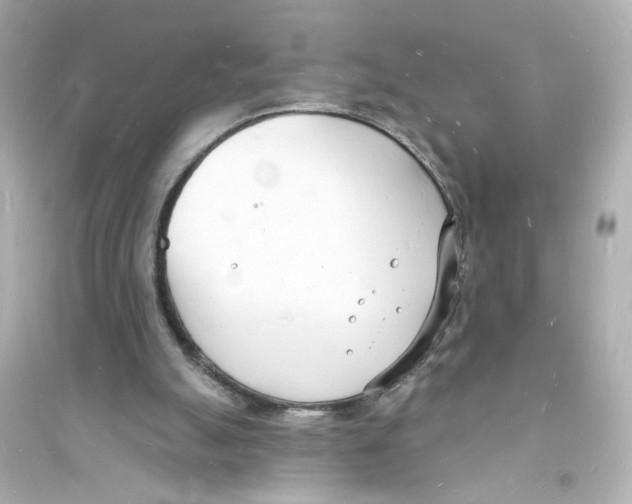 X0000093600055200711121158