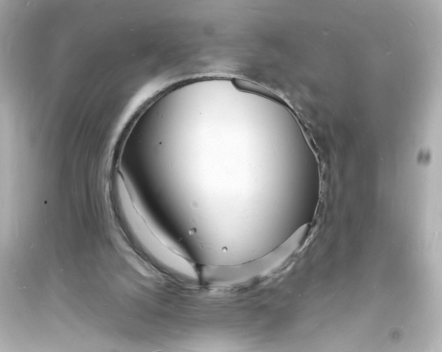 X0000093600056200711121158