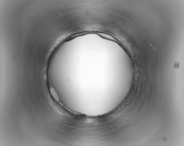 X0000093600060200711121158