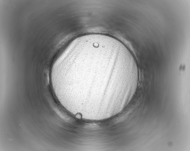 X0000093600061200711121158