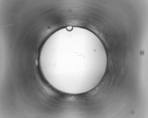 X0000093600062200711121158