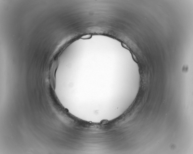 X0000093600064200711121158