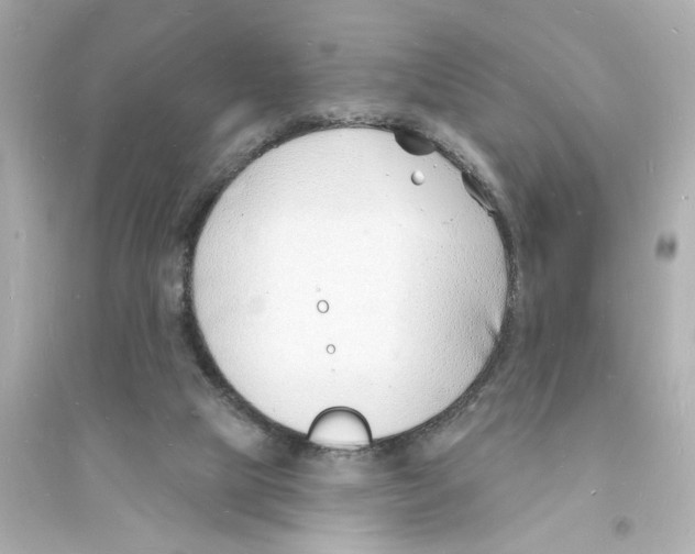 X0000093600065200711121158