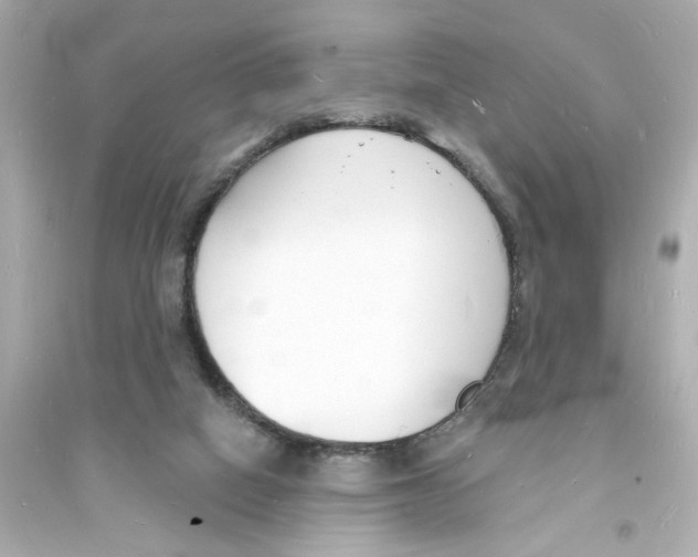 X0000093600066200711121158