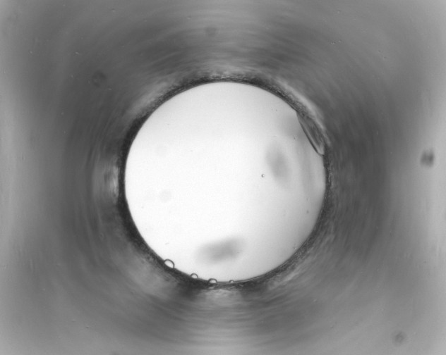 X0000093600067200711121158