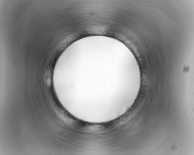 X0000093600069200711121158