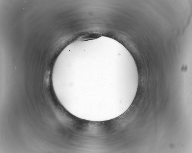 X0000093600070200711121158