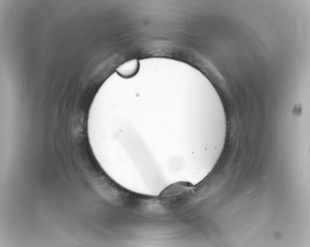 X0000093600073200711121158