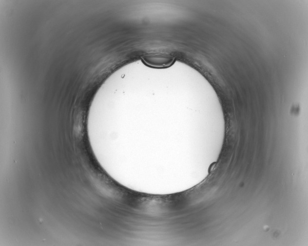 X0000093600074200711121158