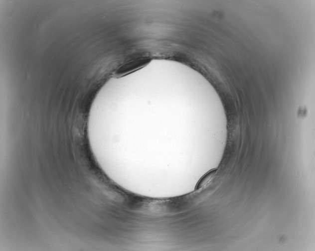 X0000093600078200711121158