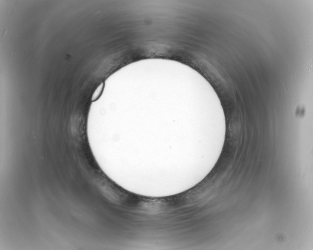 X0000093600079200711121158