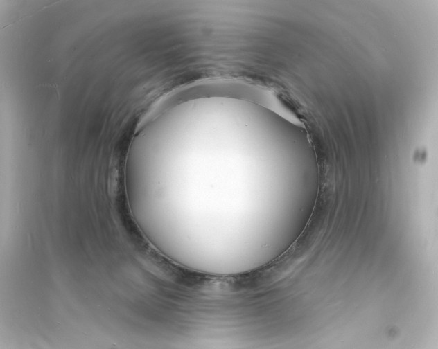 X0000093600080200711121158