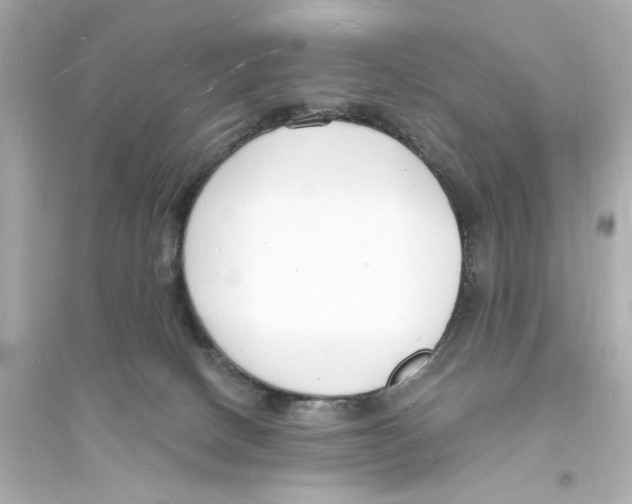 X0000093600082200711121158