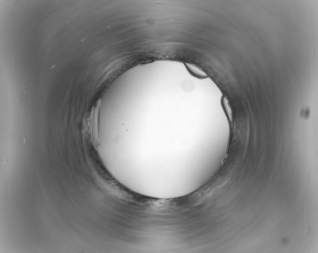 X0000093600092200711121158