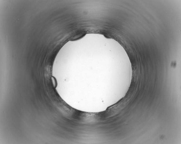 X0000093600093200711121158