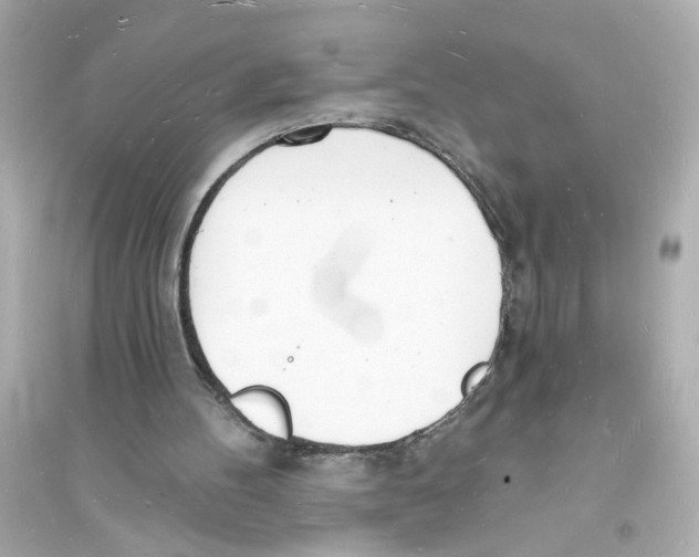 X0000093600100200711121158