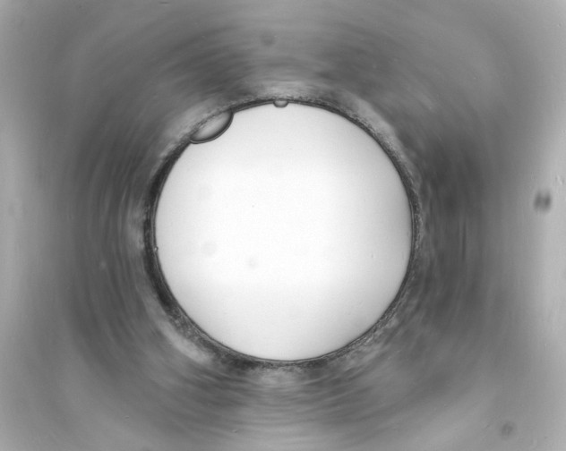 X0000093600106200711121158