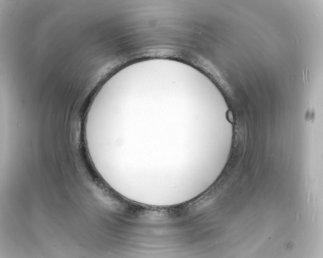 X0000093600110200711121157