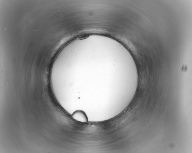 X0000093600111200711121157