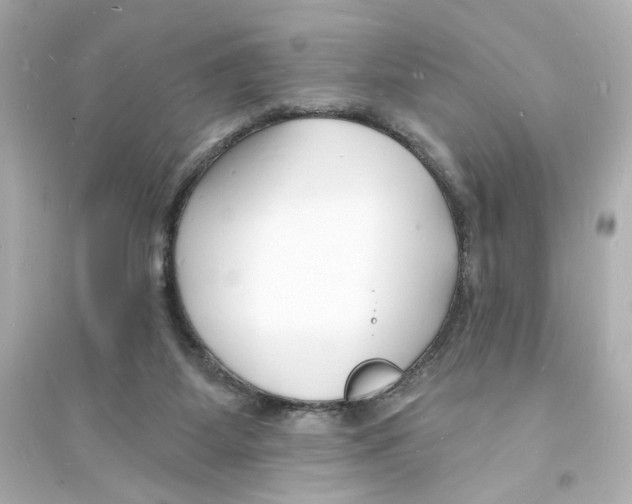 X0000093600115200711121157