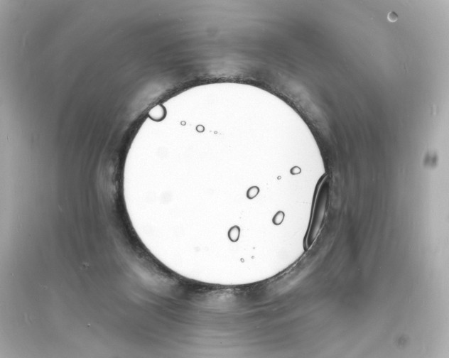 X0000093600116200711121157