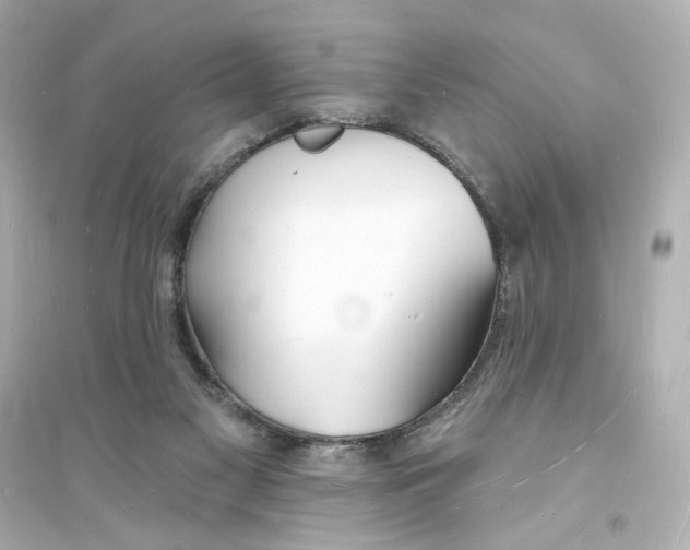 X0000093600117200711121157