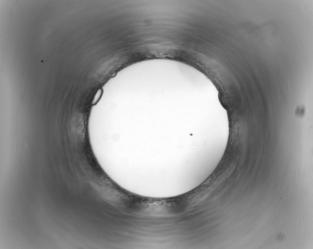 X0000093600121200711121157