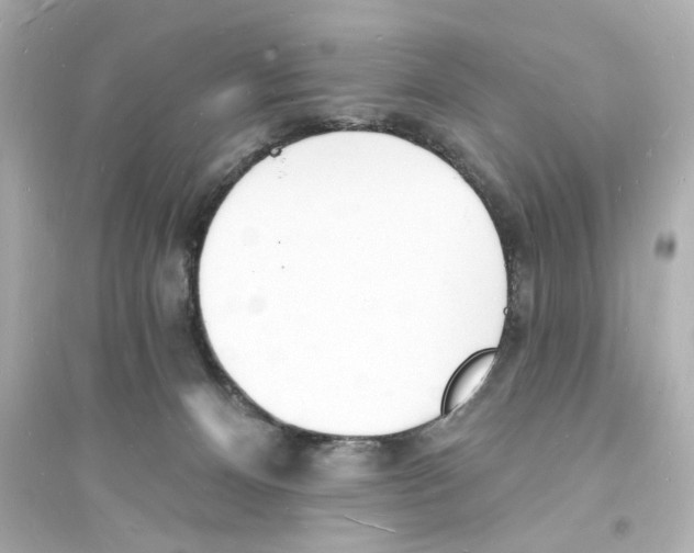 X0000093600128200711121157