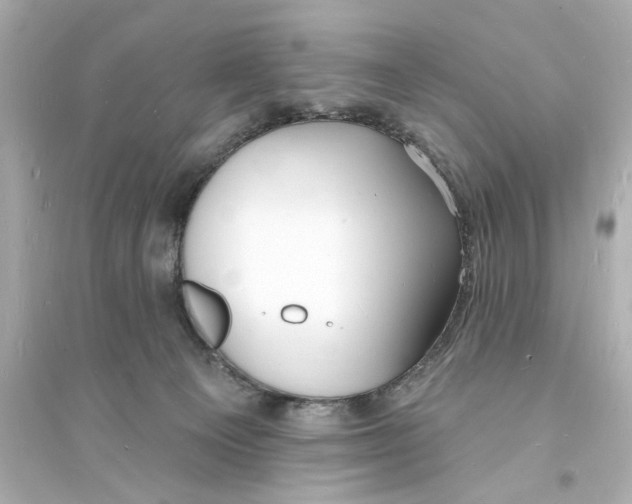 X0000093600129200711121157