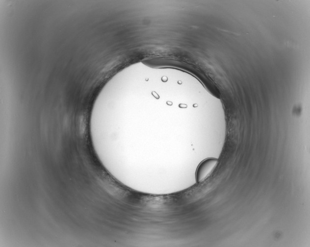 X0000093600131200711121157