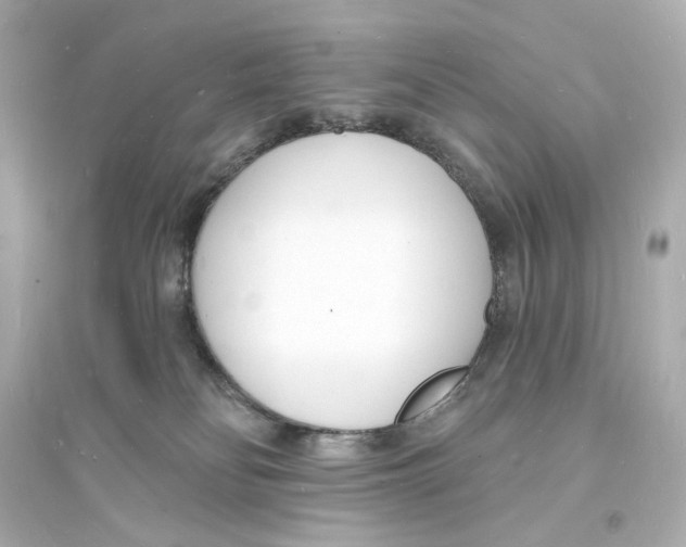 X0000093600134200711121157