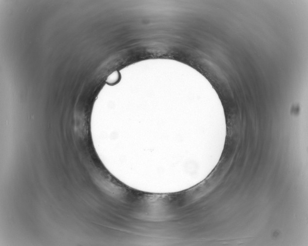 X0000093600136200711121157