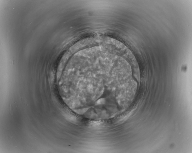 X0000093600139200711121157